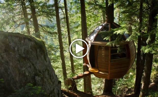 case in legno albero video