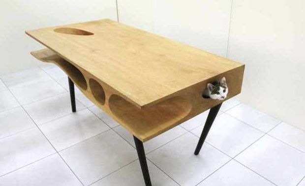 scrivania-gatto