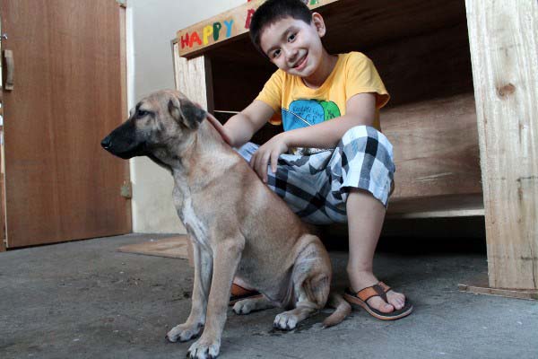 ws413-filipino-dogs9