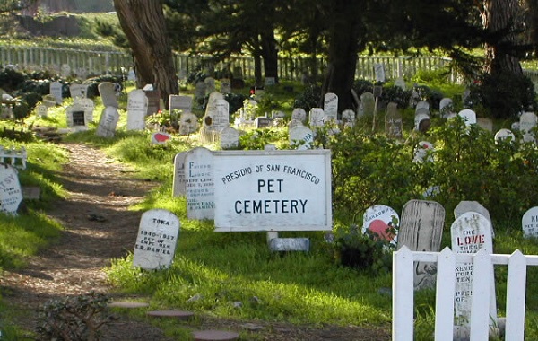 pet-cemetery