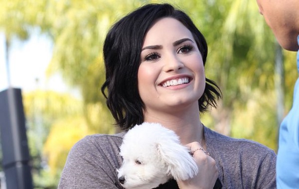 lovato-buddy