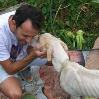 uomo salva cane